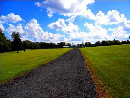 160 Boteler Road Florence, MS 39073 - Photo 1 of 14 Photo 1