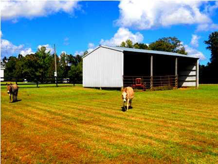 160 Boteler Road Florence, MS 39073 - Photo 13 of 14 Photo 13