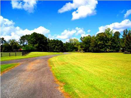 160 Boteler Road Florence, MS 39073 - Photo 14 of 14 Photo 14