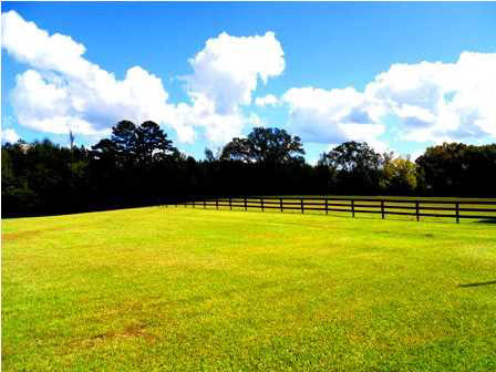 160 Boteler Road Florence, MS 39073 - Photo 4 of 14 Photo 4