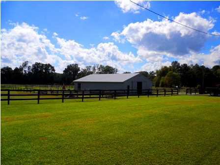 160 Boteler Road Florence, MS 39073 - Photo 6 of 14 Photo 6