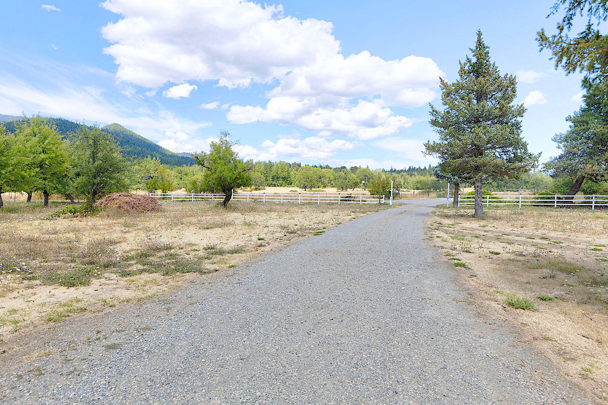 187 Norman Road Selma, OR 97538 - Photo 51 of 52 22-web-or-mls-187-norman-rd