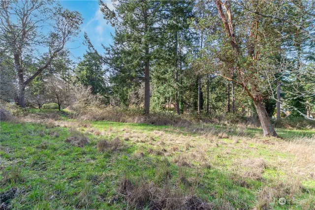 a view of backyard with green space