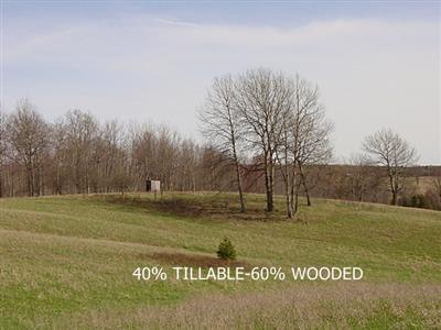225 Evergreen Road Sears, MI 49679 - Photo 4 of 16 Additional Photo