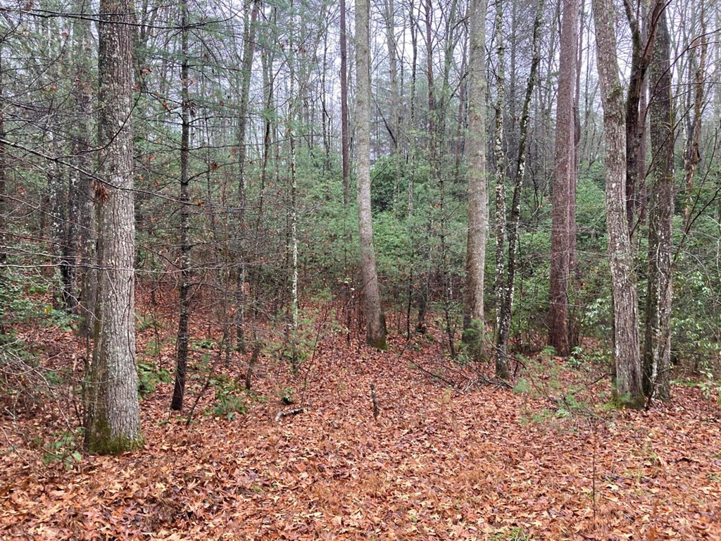 3.93 A Seneca Road Murphy, NC 28906 - Photo 11 of 20 Gallery Image 11