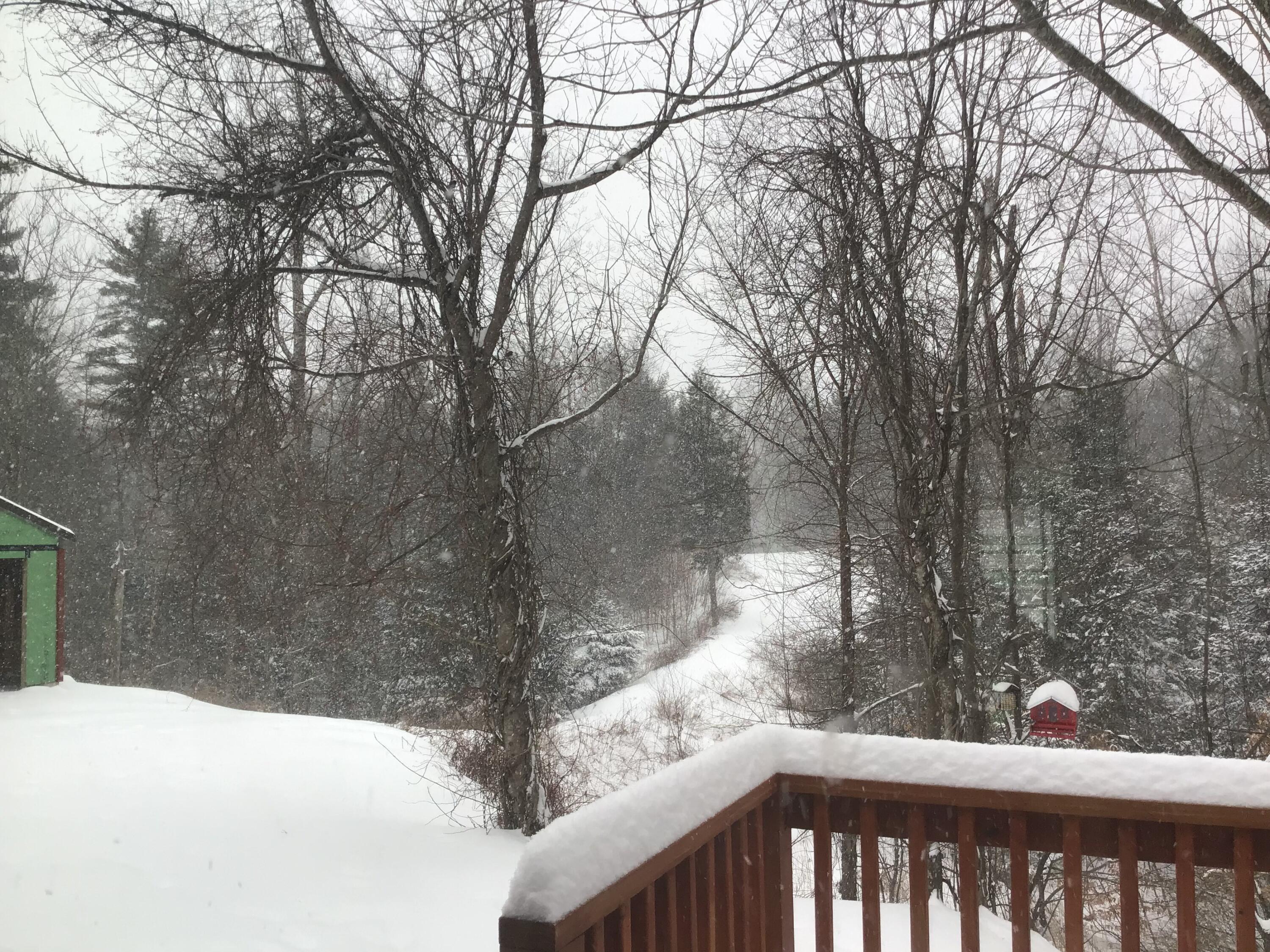 163 Beech Plains Road Buxton, ME 04093 - Photo 52 of 53 2