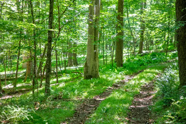 $1,950,000 | Under Mountain Road, Salisbury, CT 06068