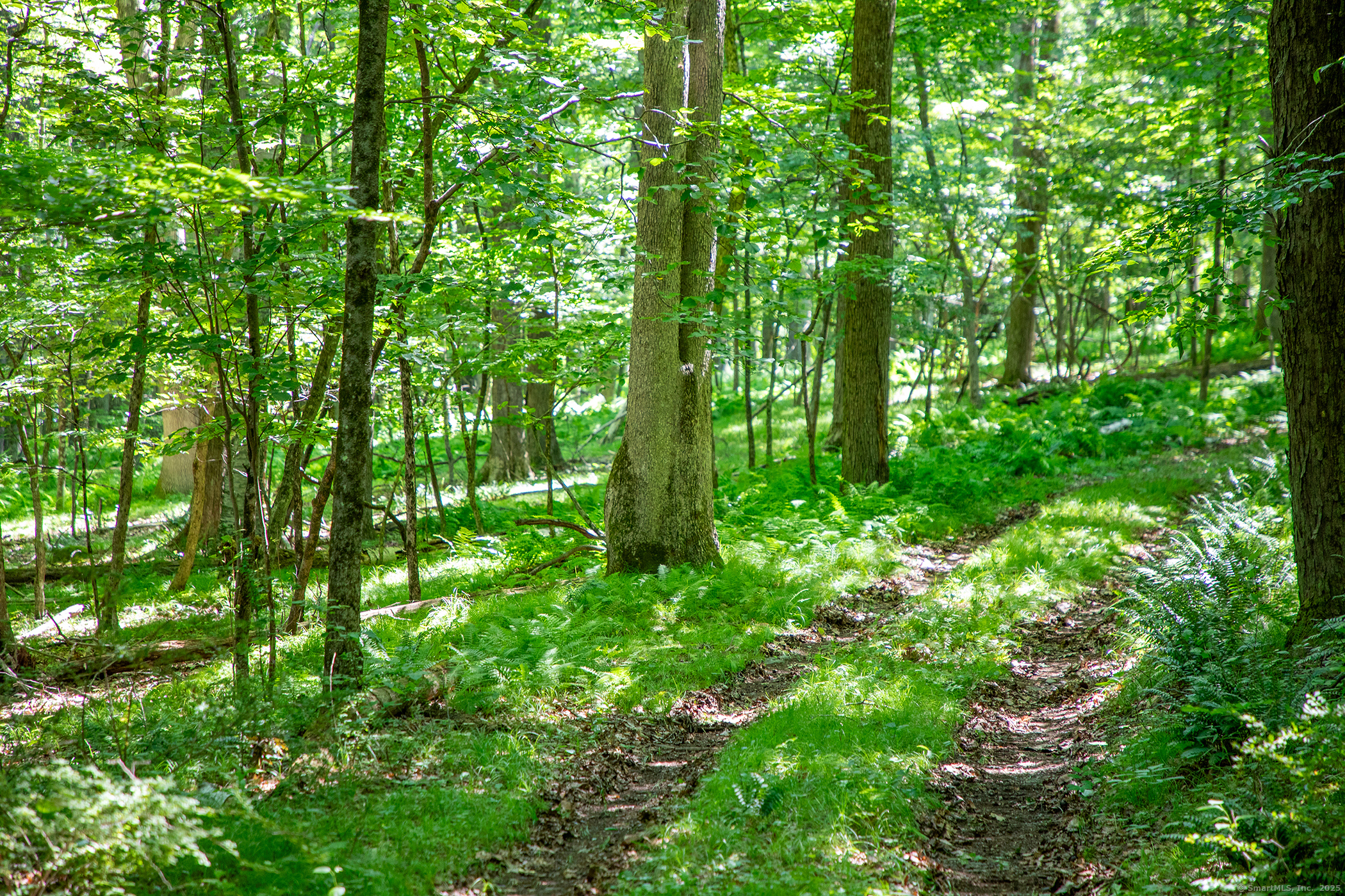 Under Mountain Road Salisbury, CT 06068 - Photo 11 of 12