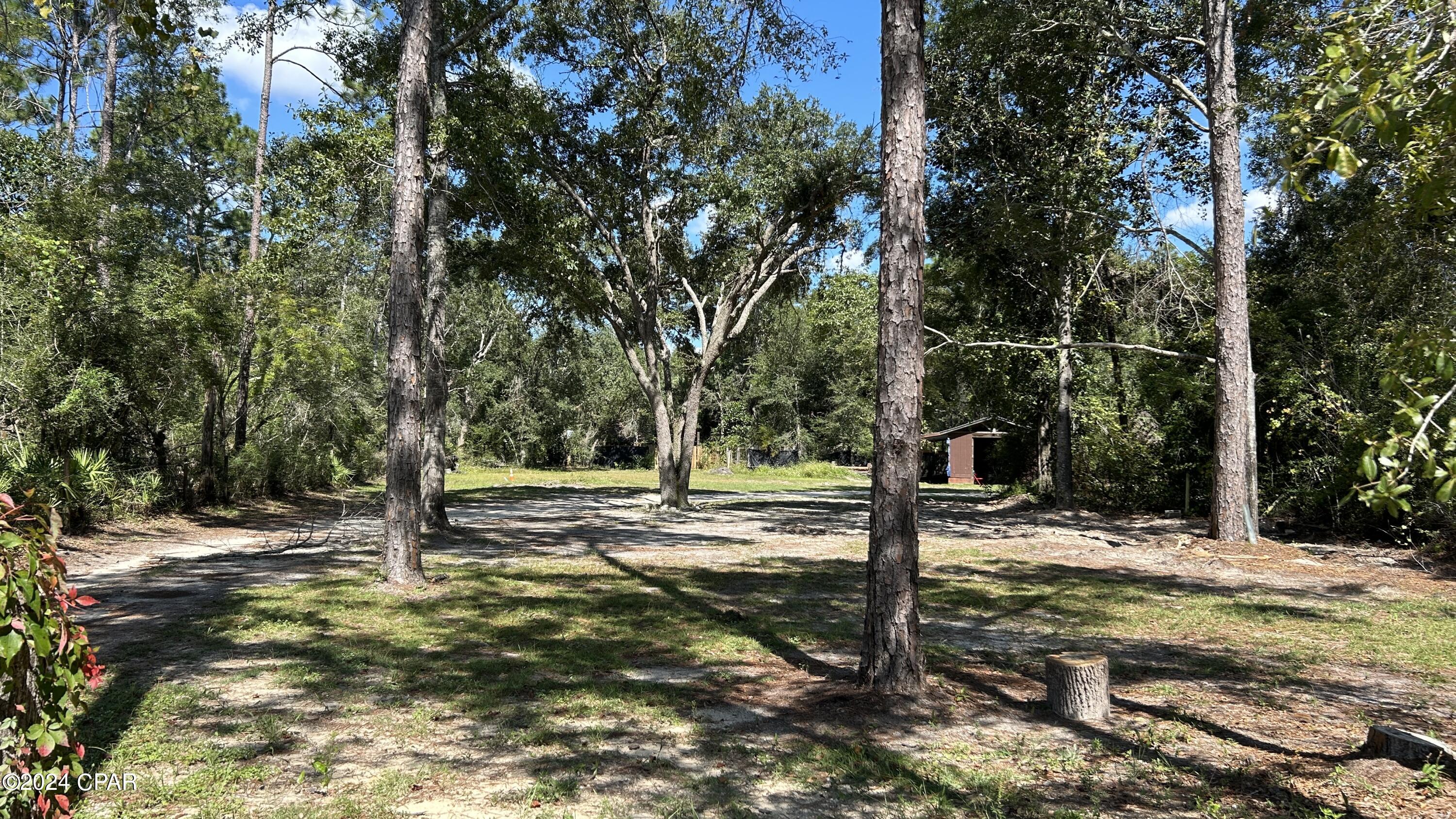 357 Joe Campbell Road Freeport, FL 32439 - Photo 5 of 18