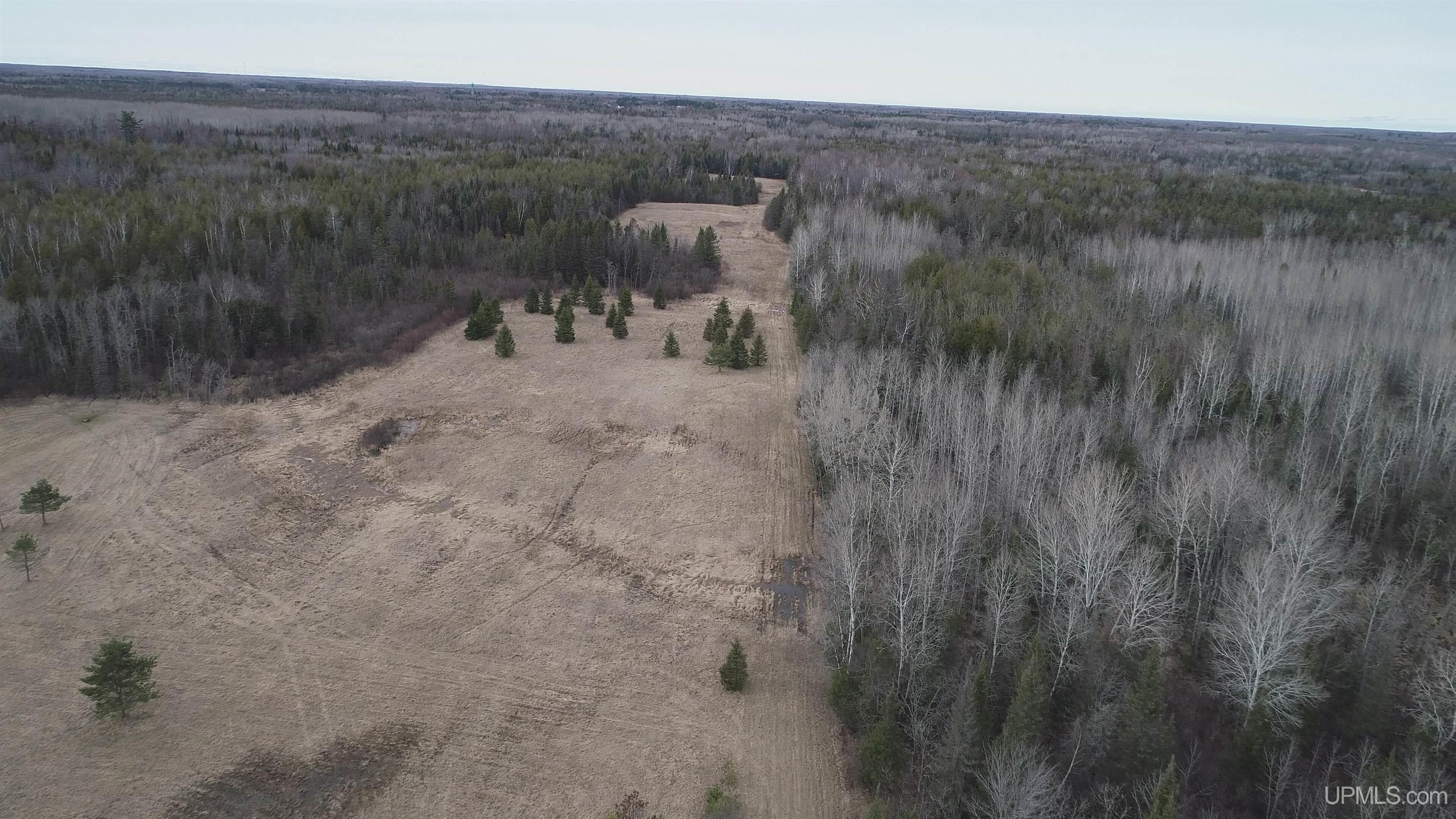 40-acres Trombley 35th Road Rock, MI 49880 - Photo 36 of 62
