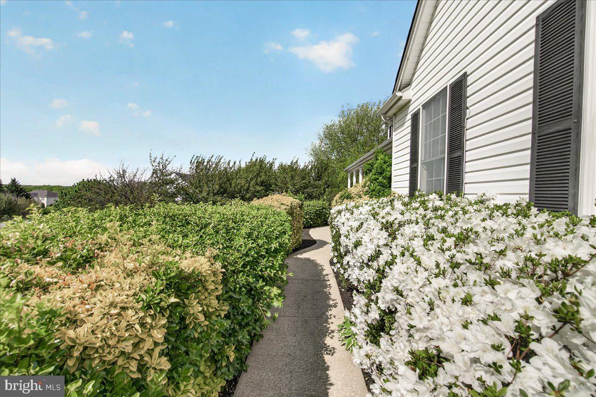 4813 Timber Drive Mount Airy, MD 21771 - Photo 2 of 80 Front Walk Way