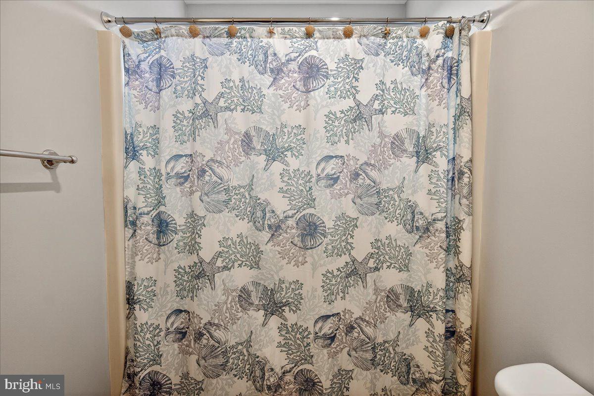 4813 Timber Drive Mount Airy, MD 21771 - Photo 40 of 80 Upstairs Hall Bath