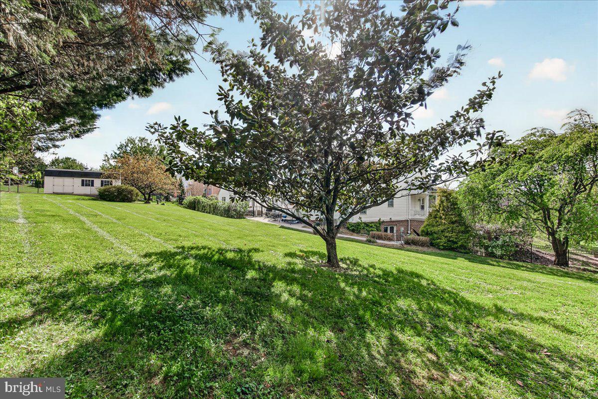 4813 Timber Drive Mount Airy, MD 21771 - Photo 67 of 80 Back Yard