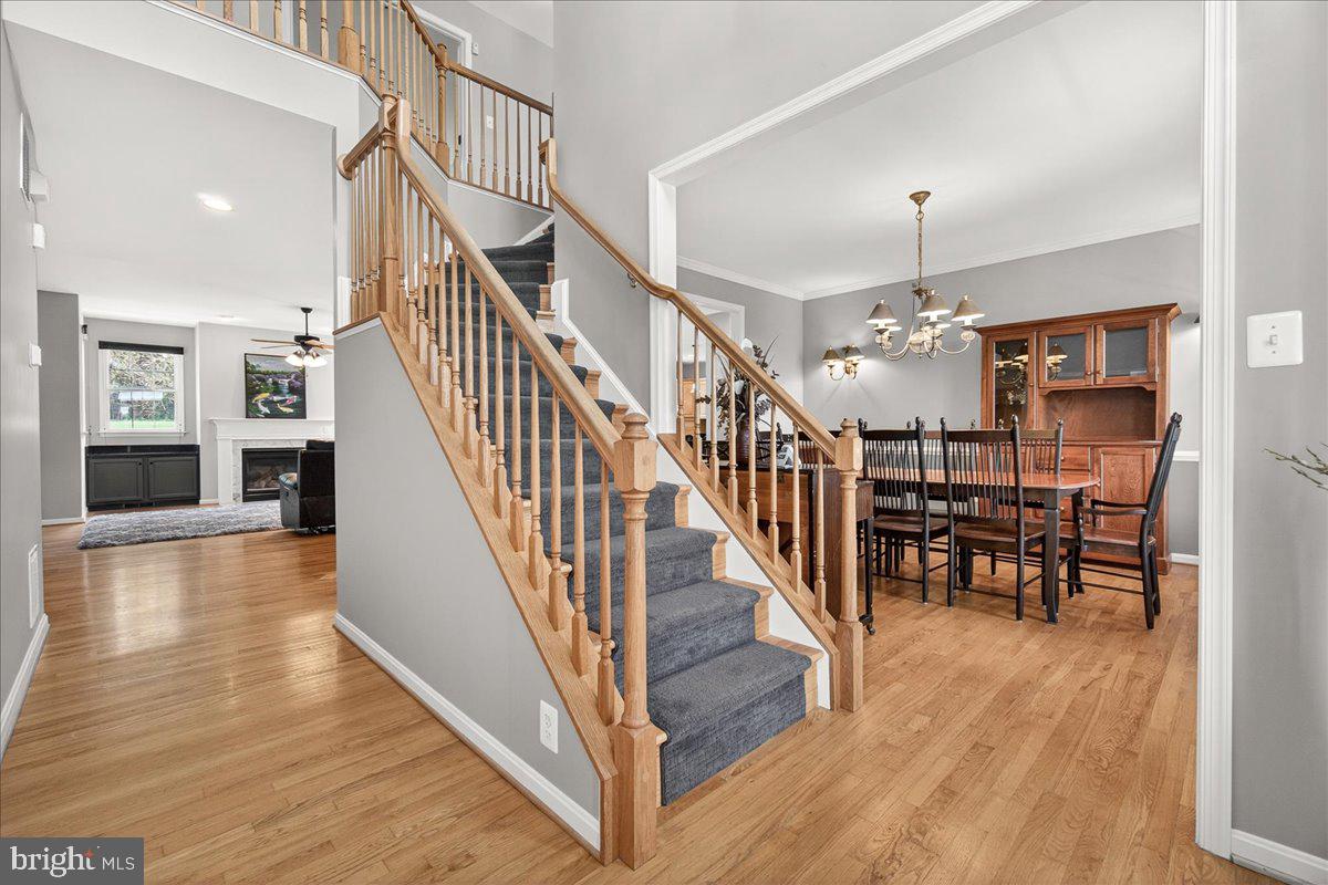 4813 Timber Drive Mount Airy, MD 21771 - Photo 7 of 80 2 Story Foyer