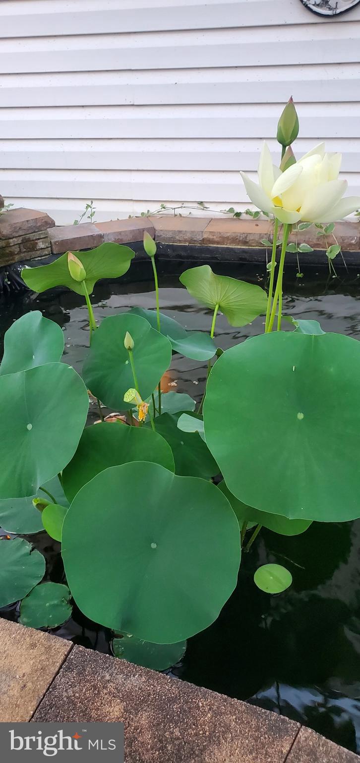 4813 Timber Drive Mount Airy, MD 21771 - Photo 76 of 80