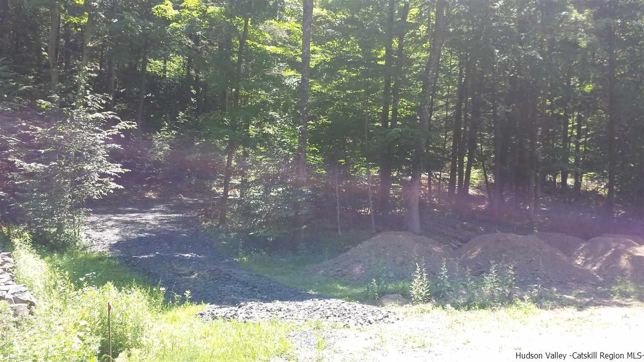 Tbd Lily Lake Road Highland, NY 12528 - Photo 2 of 6 Photo 2