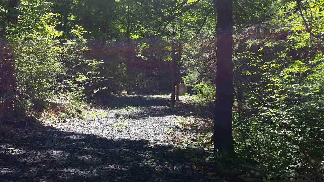 Tbd Lily Lake Road Highland, NY 12528 - Photo 3 of 6 Photo 3