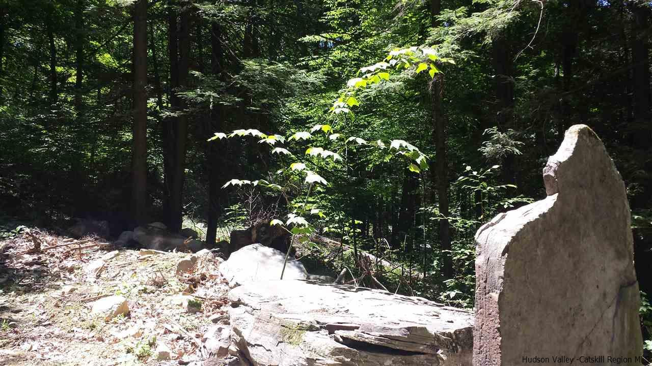 Tbd Lily Lake Road Highland, NY 12528 - Photo 4 of 6 Photo 4
