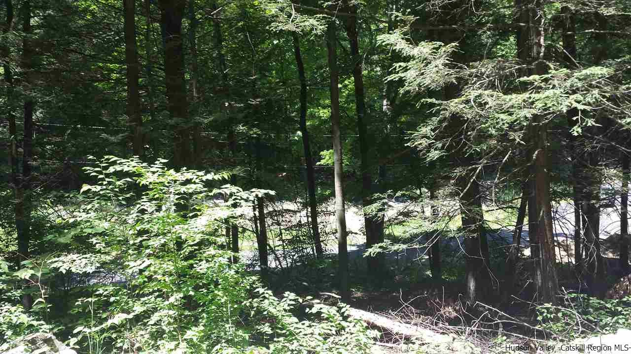 Tbd Lily Lake Road Highland, NY 12528 - Photo 5 of 6 Photo 5