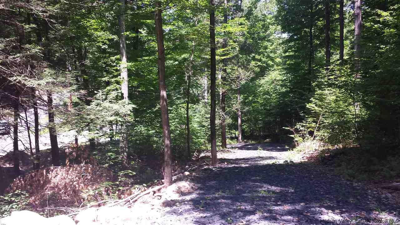 Tbd Lily Lake Road Highland, NY 12528 - Photo 6 of 6 Photo 6