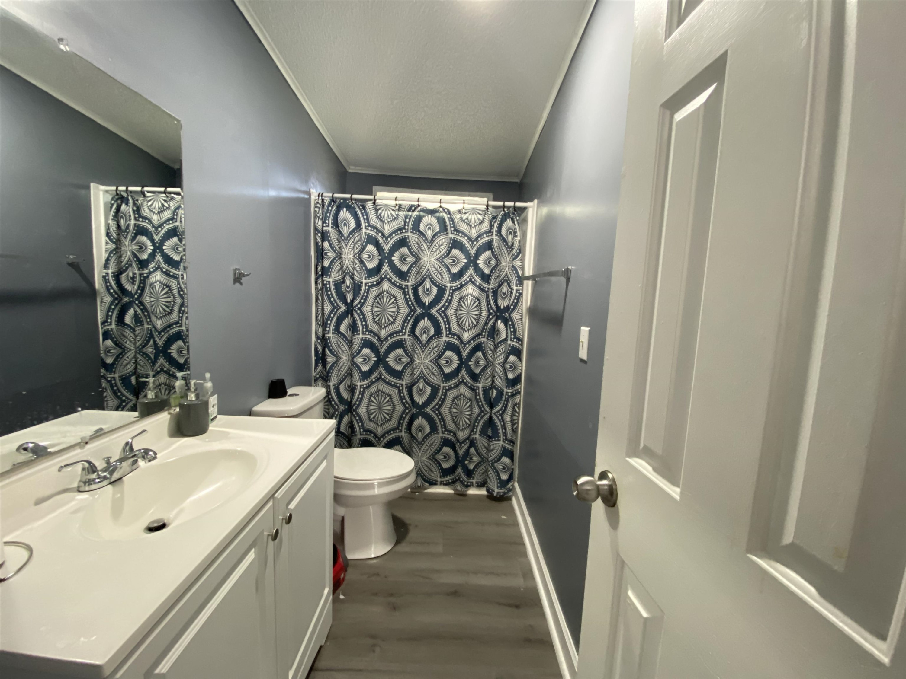 6036 Rock Quarry Road Raleigh, NC 27610 - Photo 17 of 17 a bathroom with a sink a toilet and shower curtain