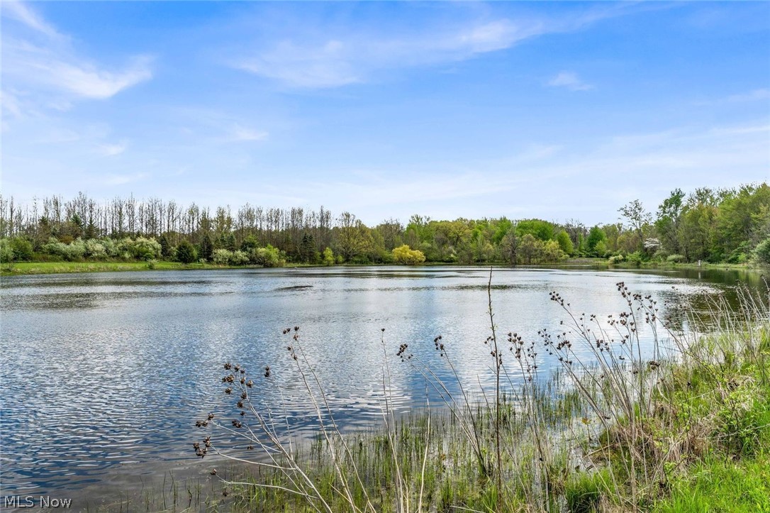 24242 Quarry Road Wellington, OH 44090 - Photo 16 of 39 Early Spring