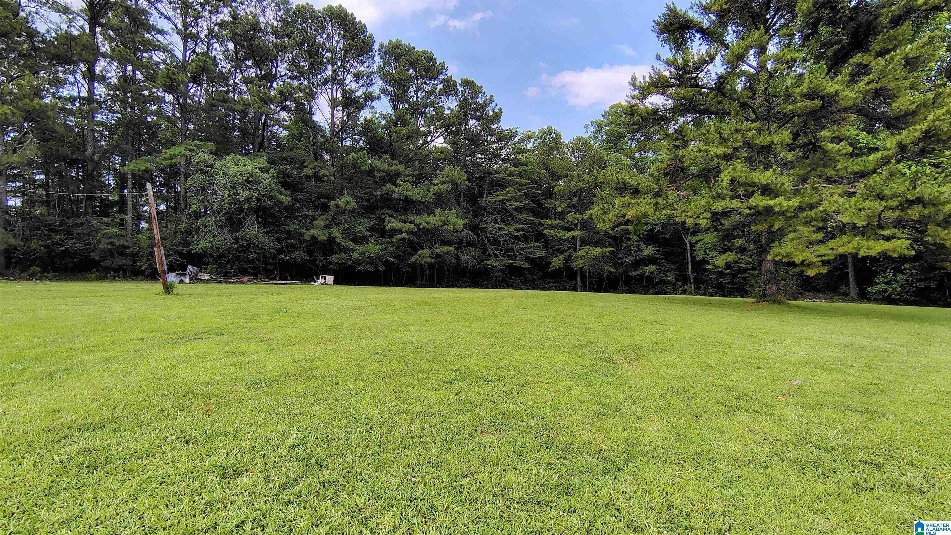 7027 Groundhog Road Morris, AL 35116 - Photo 33 of 36