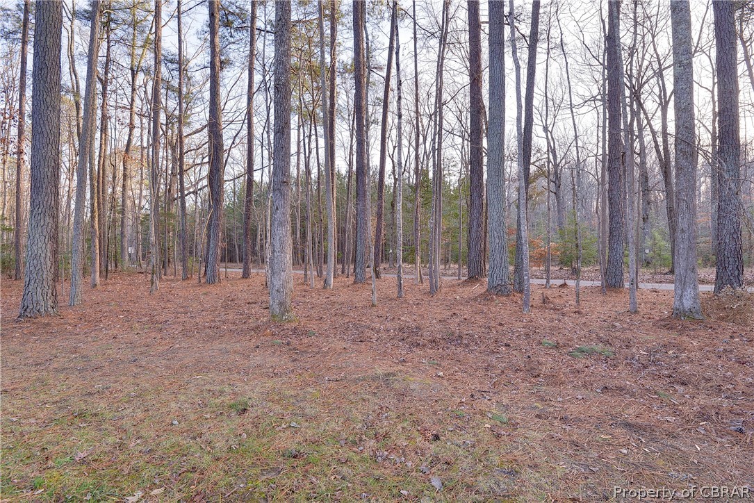 15236 Cooks Mill Road Lanexa, VA 23089 - Photo 35 of 35 Gallery Image 35