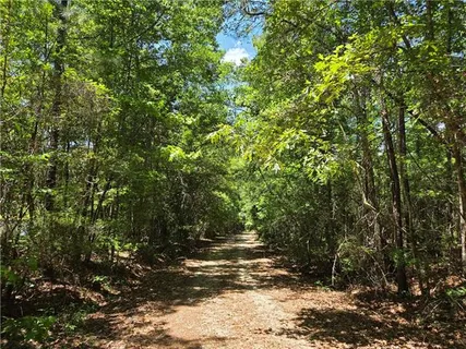 $220,000 | 0 Exnicios Drive, Folsom, LA 70437