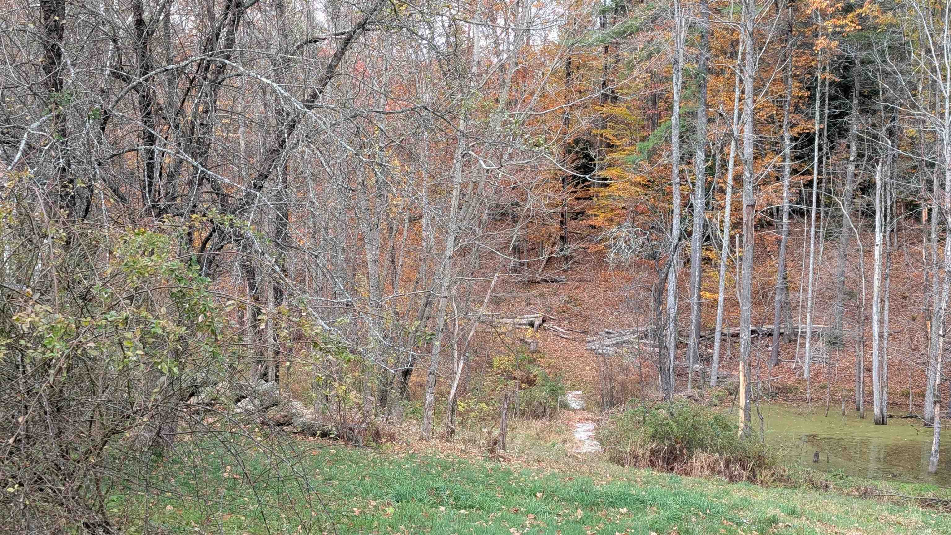 281 Hodgdon Road Weare, NH 03281 - Photo 37 of 44