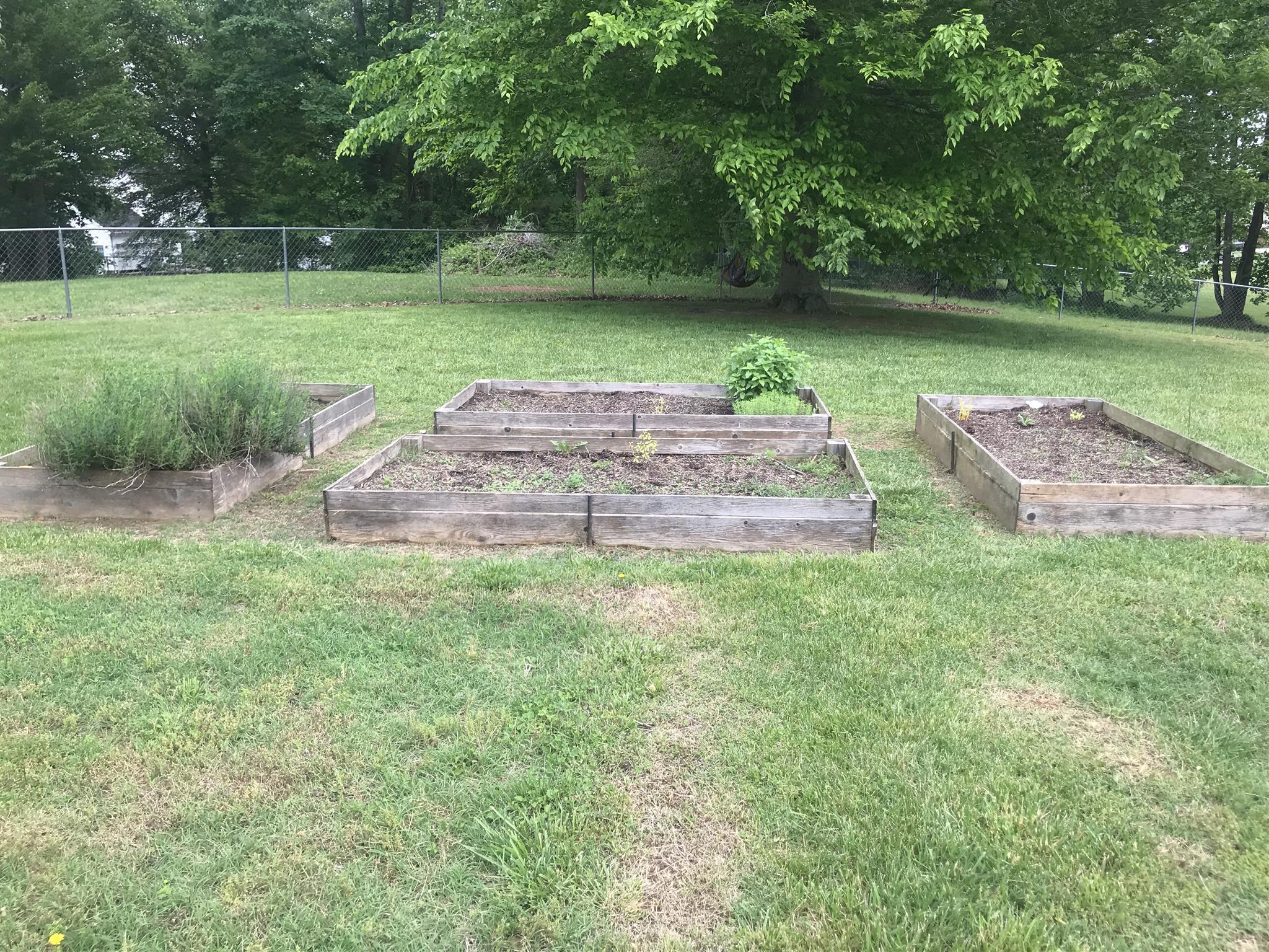 1037 Heatherwood Road Pleasant View, TN 37146 - Photo 11 of 28 raised beds, there are also fruit trees!