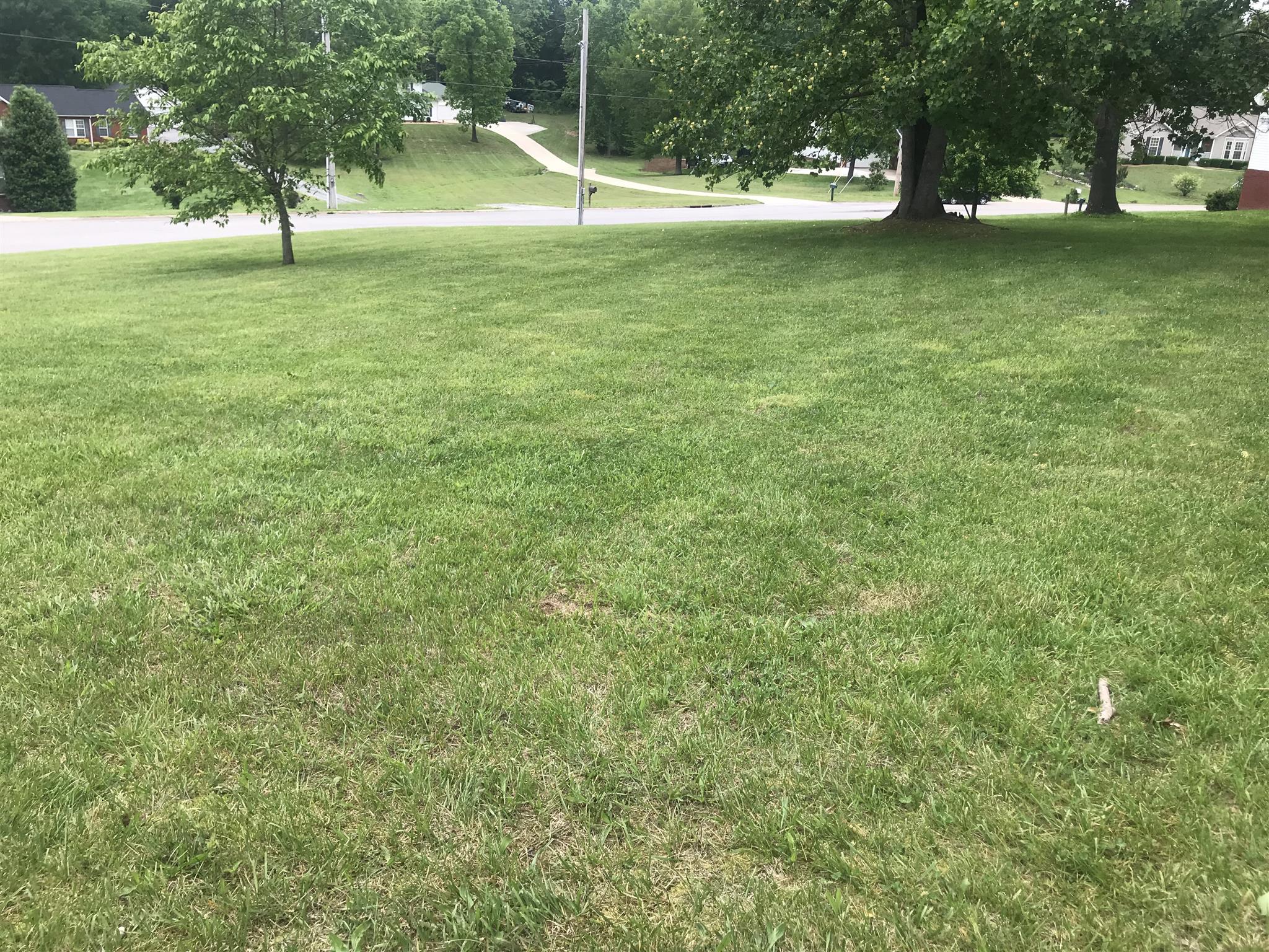 1037 Heatherwood Road Pleasant View, TN 37146 - Photo 13 of 28 side yard