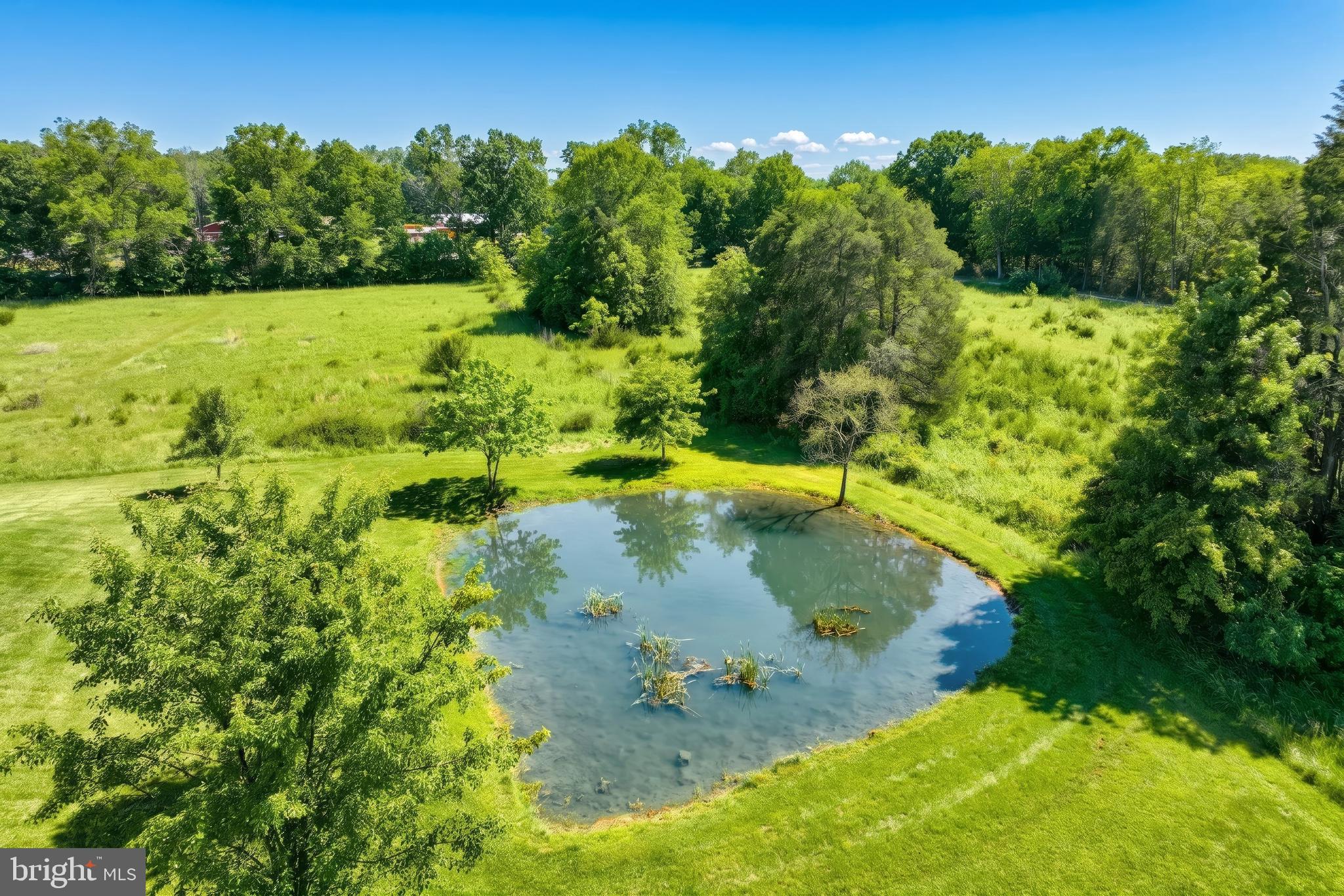 4715 Ruggles Road Taneytown, MD 21787 - Photo 53 of 55
