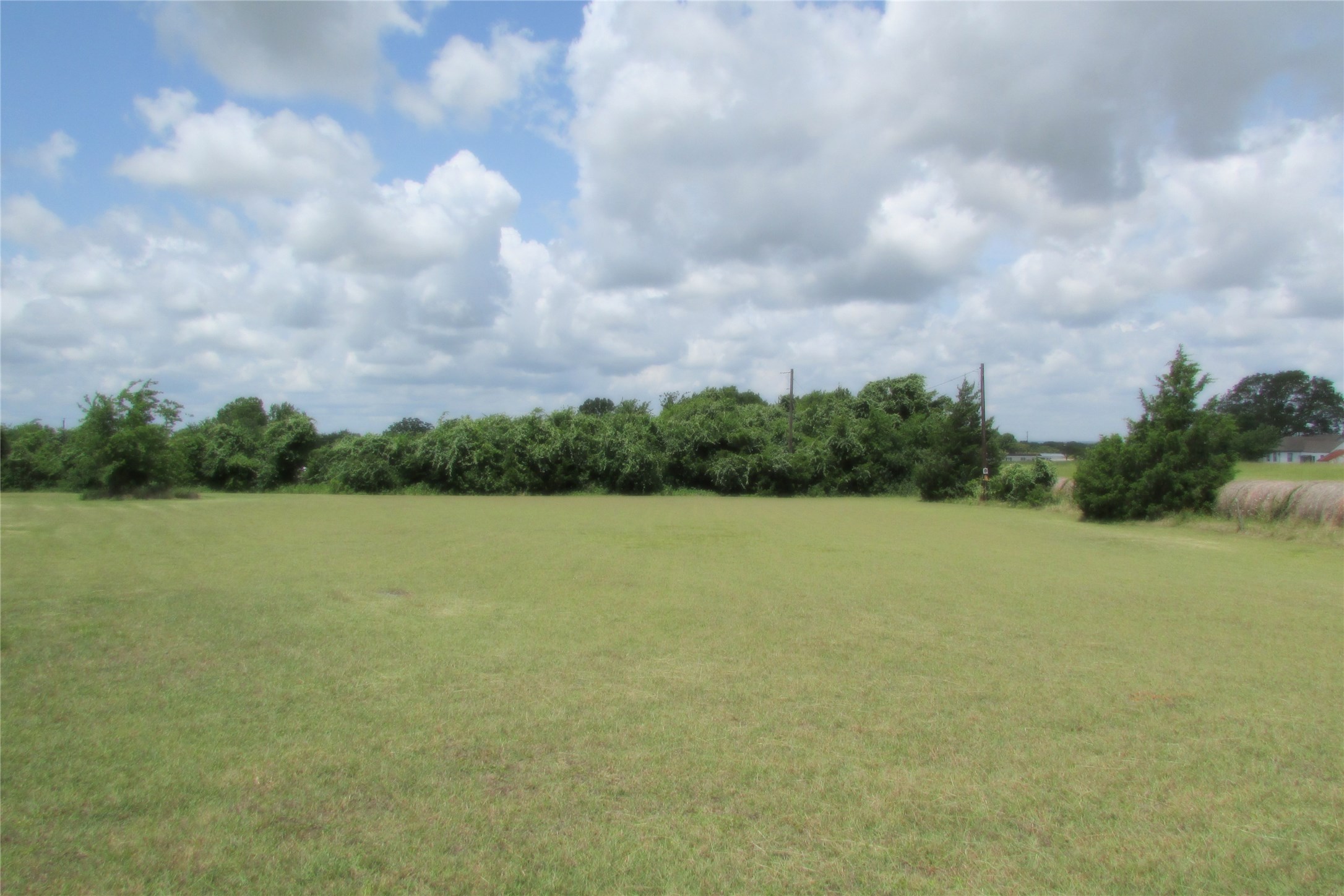 51 New Wehdem Road Brenham, TX 77833 - Photo 2 of 20 a view of a field with trees in the background