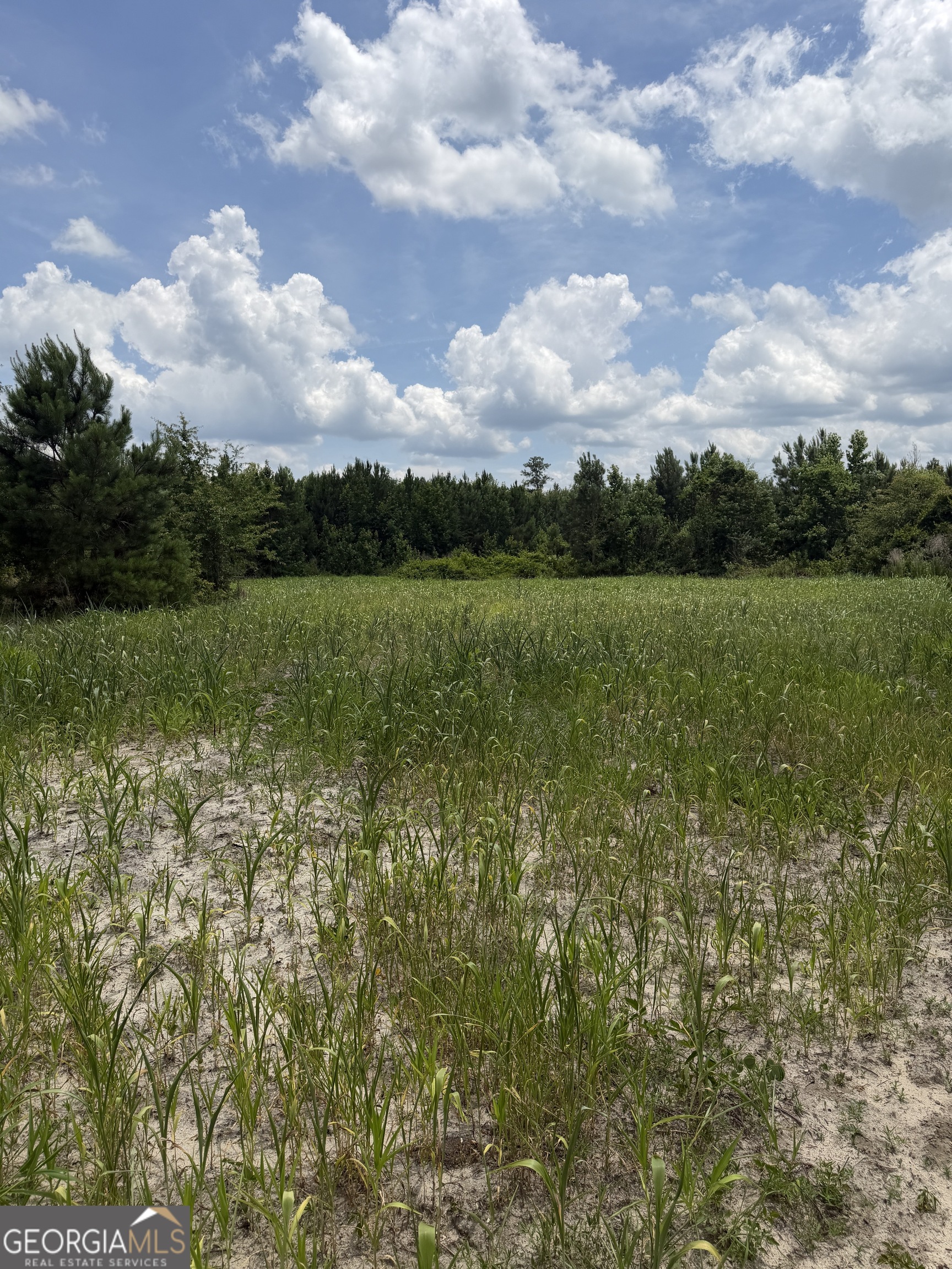 0 West River Road Rhine, GA 31077 - Photo 23 of 31