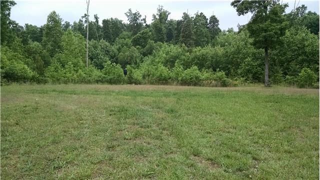 6778 Primm Springs Road Lyles, TN 37098 - Photo 20 of 20 Plenty of room to spread out and enjoy the outdoors