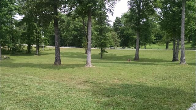6778 Primm Springs Road Lyles, TN 37098 - Photo 3 of 20 Home sits off of the road & has large shade trees surrounding it