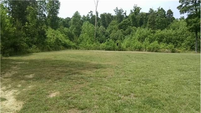 6778 Primm Springs Road Lyles, TN 37098 - Photo 4 of 20 No neighbors on either side ~ 2 +/- Acre Lot