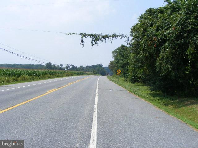 2067 Crystal Beach Road Earleville, MD 21919 - Photo 12 of 14 Street West