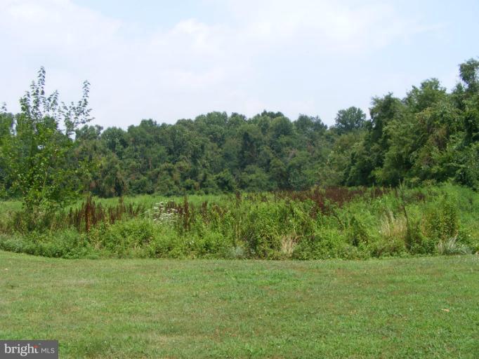 2067 Crystal Beach Road Earleville, MD 21919 - Photo 8 of 14 Field to right rear