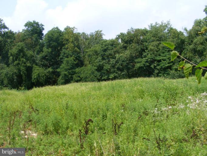 2067 Crystal Beach Road Earleville, MD 21919 - Photo 9 of 14 Field to Left rear