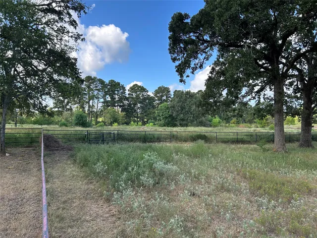 a view of a lake with a forest
