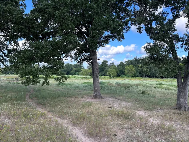 a view of a tree with a yard