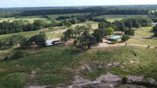 a view of a forest with a lake