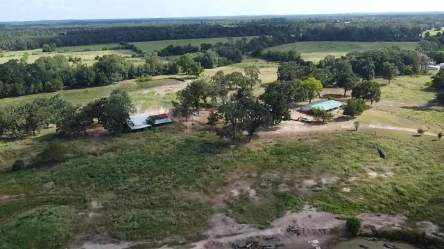 a view of a forest with a lake