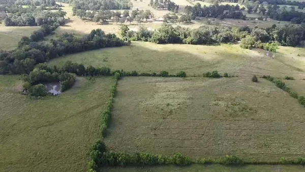 a view of a pathway both side of river and yard