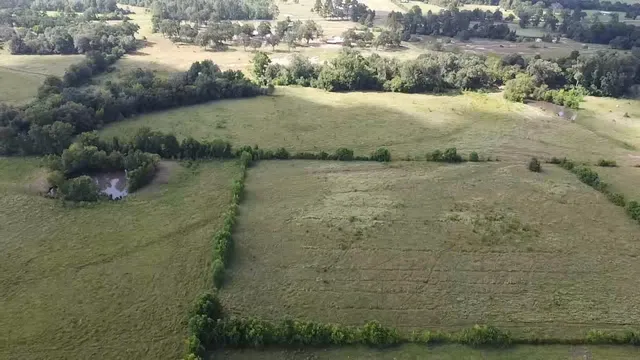 a view of a pathway both side of river and yard