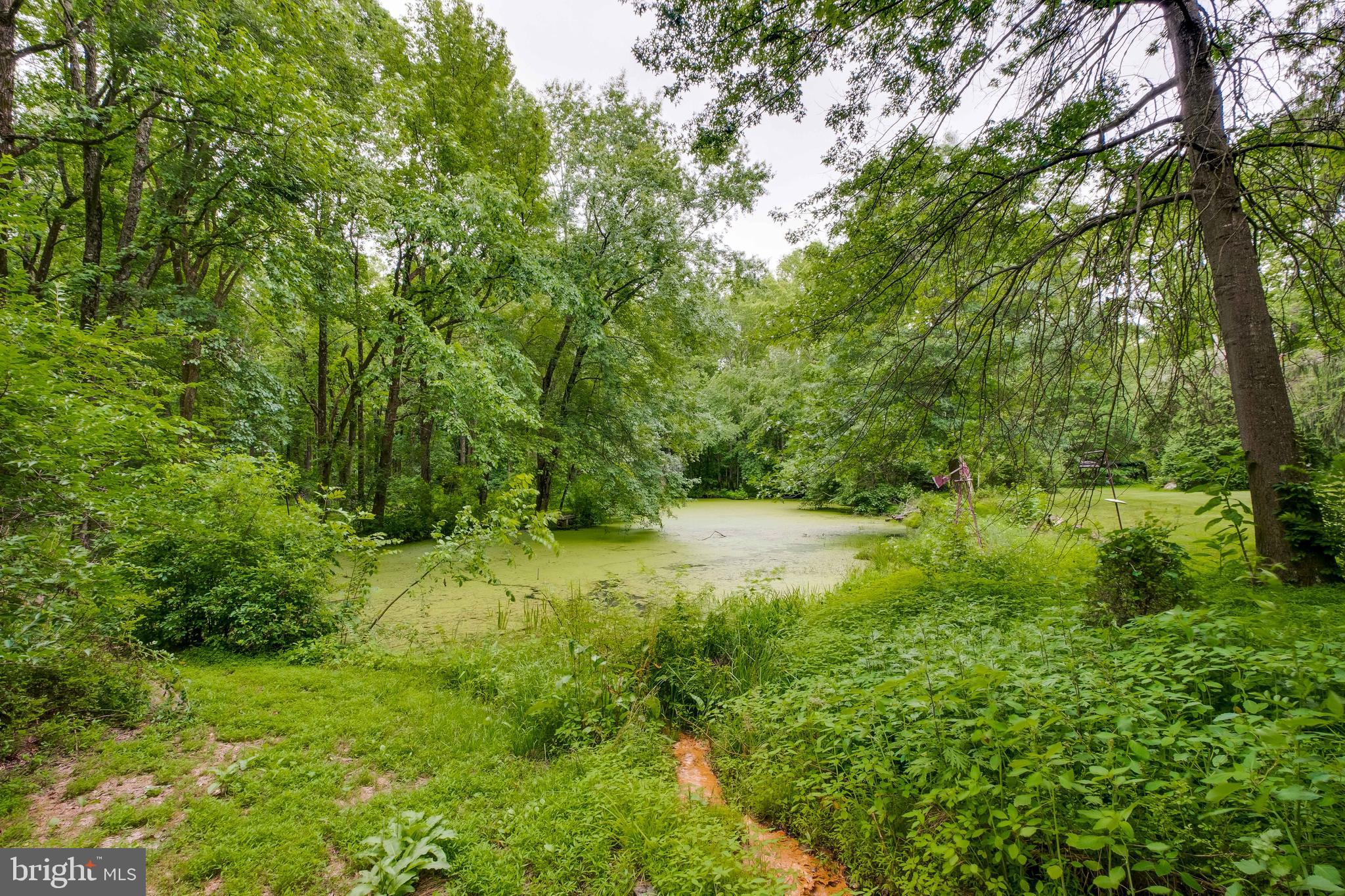 196 Arneys Mt Road Pemberton, NJ 08068 - Photo 42 of 52 The pond