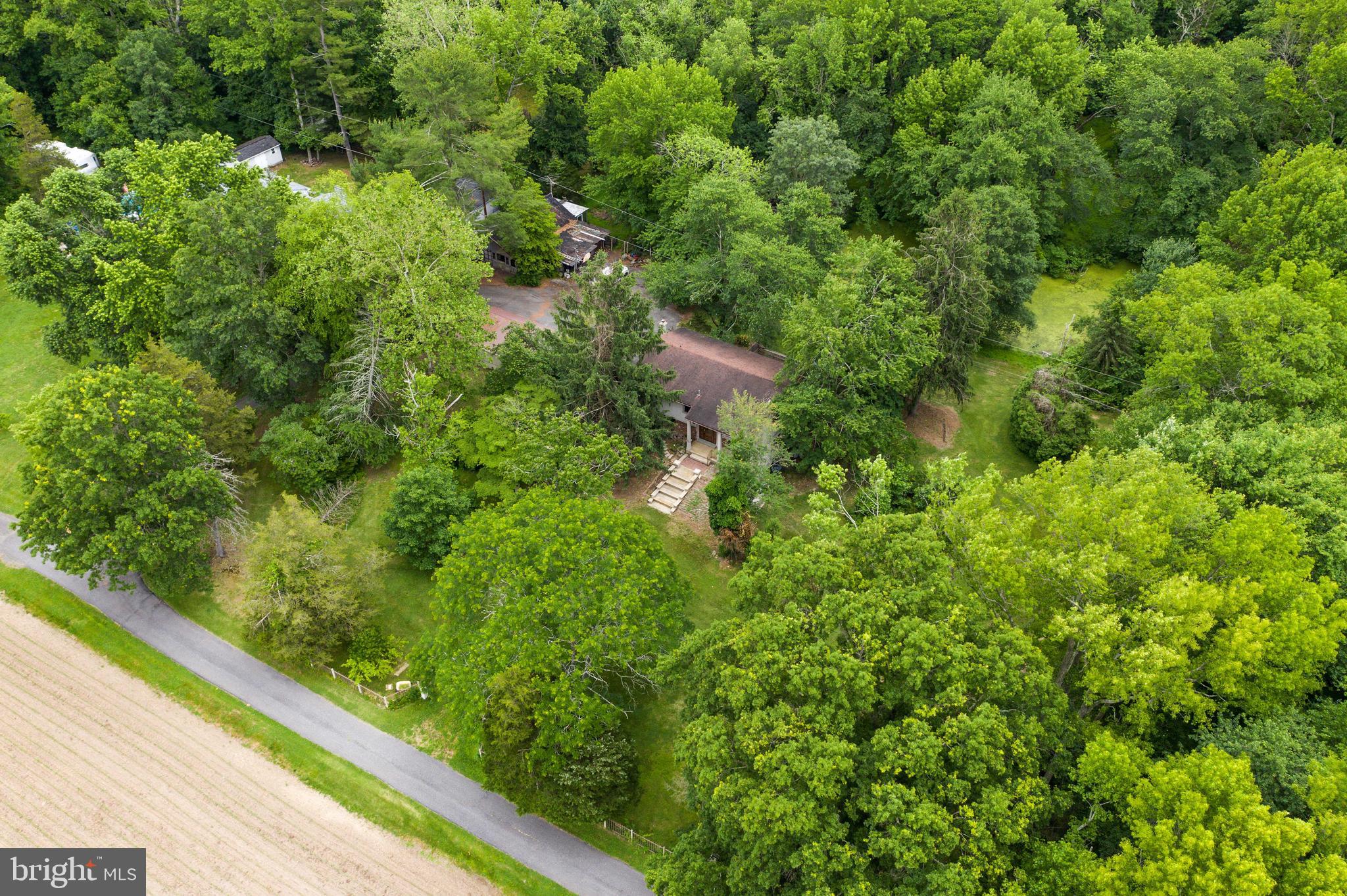 196 Arneys Mt Road Pemberton, NJ 08068 - Photo 46 of 52 Private and Beautiful