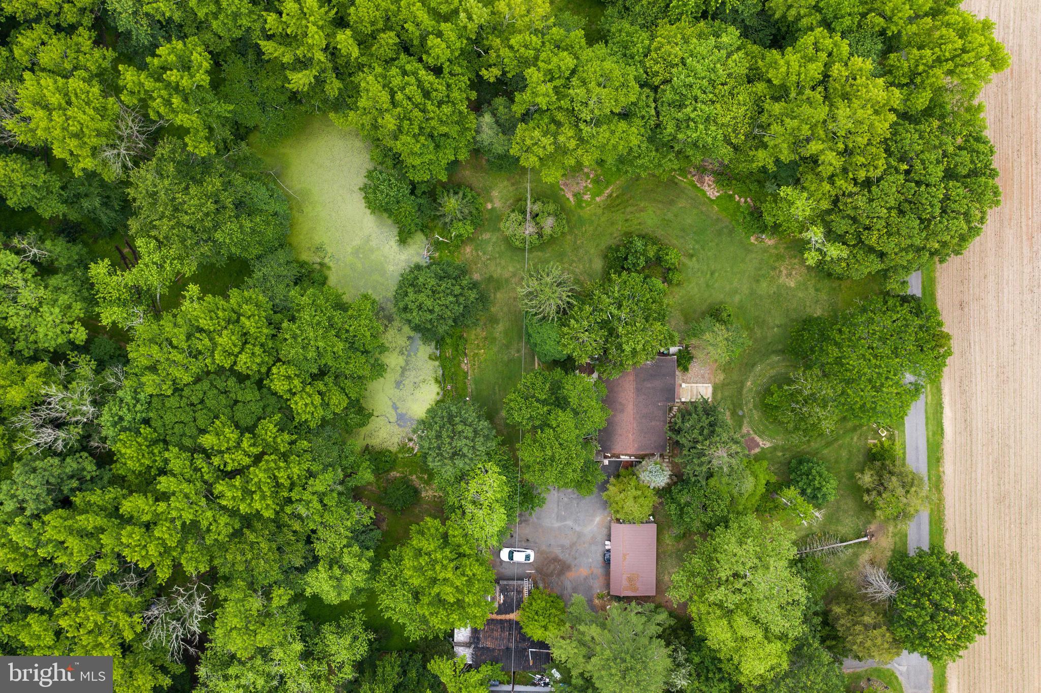196 Arneys Mt Road Pemberton, NJ 08068 - Photo 48 of 52 Impressive